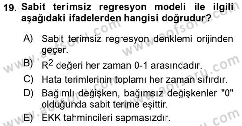 Ekonometrinin temelleri Dersi 2024 - 2025 Yılı (Vize) Ara Sınav Soruları 19. Soru