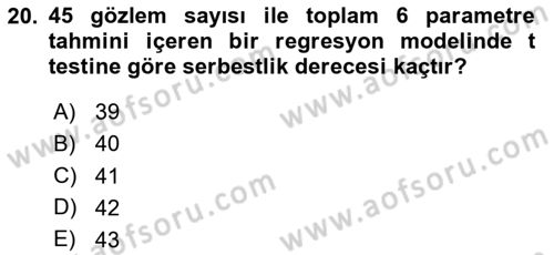 Ekonometrinin temelleri Dersi 2024 - 2025 Yılı (Vize) Ara Sınav Soruları 20. Soru