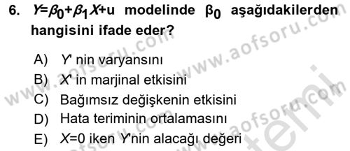 Ekonometrinin temelleri Dersi 2024 - 2025 Yılı (Vize) Ara Sınav Soruları 6. Soru