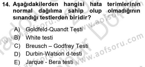 Ekonometrinin temelleri Dersi 2024 - 2025 Yılı (Final) Dönem Sonu Sınav Soruları 14. Soru