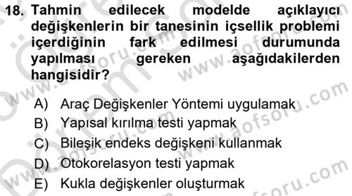 Ekonometrinin temelleri Dersi 2024 - 2025 Yılı (Final) Dönem Sonu Sınav Soruları 18. Soru