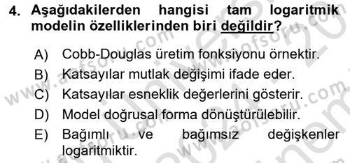 Ekonometrinin temelleri Dersi 2024 - 2025 Yılı (Final) Dönem Sonu Sınav Soruları 4. Soru