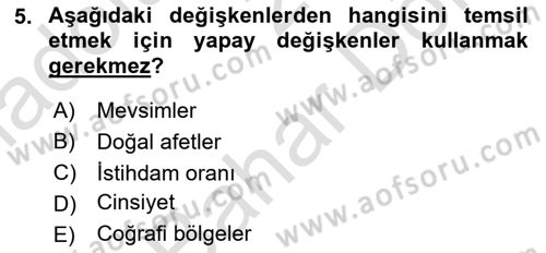 Ekonometrinin temelleri Dersi 2024 - 2025 Yılı (Final) Dönem Sonu Sınav Soruları 5. Soru