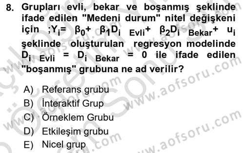 Ekonometrinin temelleri Dersi 2024 - 2025 Yılı (Final) Dönem Sonu Sınav Soruları 8. Soru