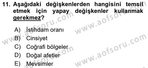 Ekonometrinin temelleri Dersi 2024 - 2025 Yılı Yaz Okulu Sınav Soruları 11. Soru