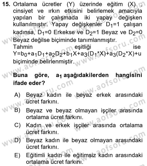 Ekonometrinin temelleri Dersi 2024 - 2025 Yılı Yaz Okulu Sınav Soruları 15. Soru
