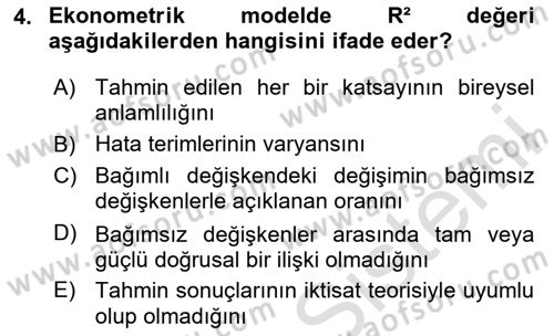 Ekonometrinin temelleri Dersi 2024 - 2025 Yılı Yaz Okulu Sınav Soruları 4. Soru