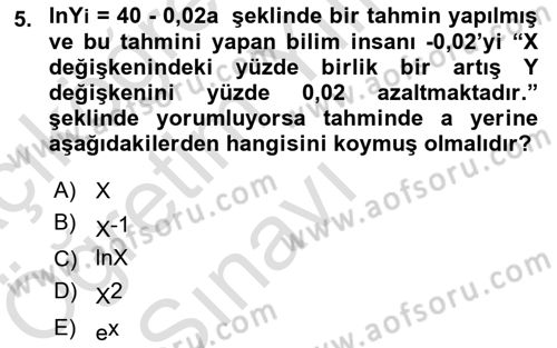 Ekonometrinin temelleri Dersi 2024 - 2025 Yılı Yaz Okulu Sınav Soruları 5. Soru