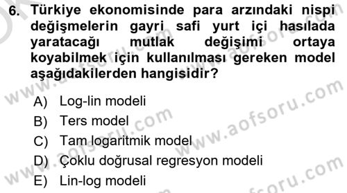 Ekonometrinin temelleri Dersi 2024 - 2025 Yılı Yaz Okulu Sınav Soruları 6. Soru