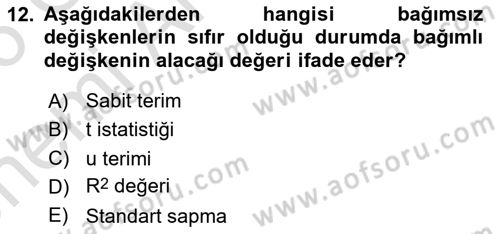 Ekonometrinin temelleri Dersi 2025 - 2026 Yılı (Vize) Ara Sınav Soruları 12. Soru