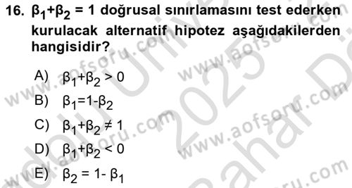 Ekonometrinin temelleri Dersi 2025 - 2026 Yılı (Vize) Ara Sınav Soruları 16. Soru
