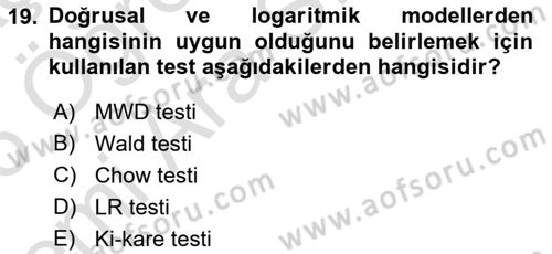Ekonometrinin temelleri Dersi 2025 - 2026 Yılı (Vize) Ara Sınav Soruları 19. Soru