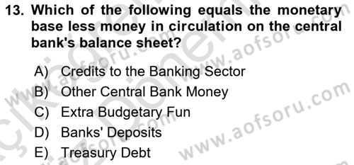 Monetary Theory and Policy Dersi Ara Sınavı Deneme Sınav Soruları 13. Soru