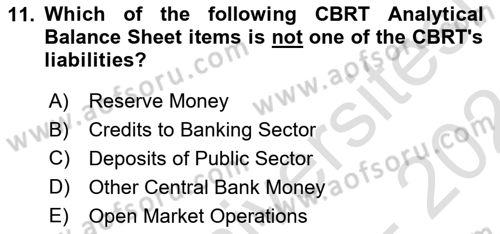 Monetary Theory and Policy Dersi 2023 - 2024 Yılı (Final) Dönem Sonu Sınav Soruları 11. Soru