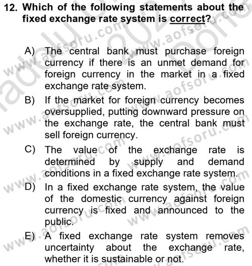 Monetary Theory and Policy Dersi 2023 - 2024 Yılı (Final) Dönem Sonu Sınav Soruları 12. Soru