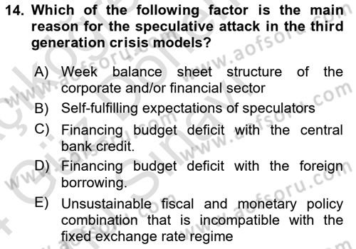 Monetary Theory and Policy Dersi 2023 - 2024 Yılı (Final) Dönem Sonu Sınav Soruları 14. Soru