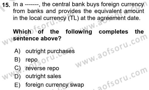 Monetary Theory and Policy Dersi 2023 - 2024 Yılı (Final) Dönem Sonu Sınav Soruları 15. Soru
