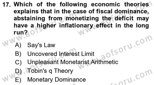 Monetary Theory and Policy Dersi 2023 - 2024 Yılı (Final) Dönem Sonu Sınav Soruları 17. Soru