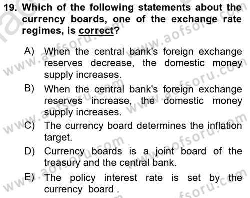 Monetary Theory and Policy Dersi 2023 - 2024 Yılı (Final) Dönem Sonu Sınav Soruları 19. Soru