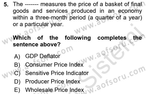 Monetary Theory and Policy Dersi 2023 - 2024 Yılı (Final) Dönem Sonu Sınav Soruları 5. Soru