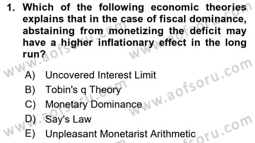 Monetary Theory and Policy Dersi 2023 - 2024 Yılı Yaz Okulu Sınav Soruları 1. Soru