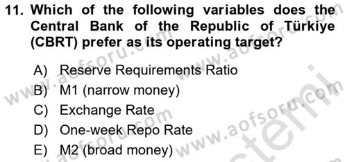 Monetary Theory and Policy Dersi 2023 - 2024 Yılı Yaz Okulu Sınav Soruları 11. Soru
