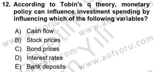 Monetary Theory and Policy Dersi 2023 - 2024 Yılı Yaz Okulu Sınav Soruları 12. Soru