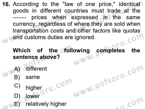 Monetary Theory and Policy Dersi 2023 - 2024 Yılı Yaz Okulu Sınav Soruları 16. Soru