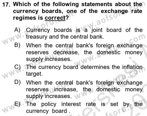 Monetary Theory and Policy Dersi 2023 - 2024 Yılı Yaz Okulu Sınav Soruları 17. Soru