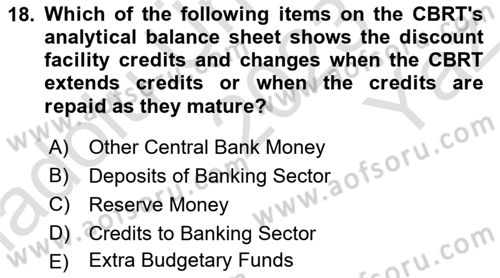 Monetary Theory and Policy Dersi 2023 - 2024 Yılı Yaz Okulu Sınav Soruları 18. Soru