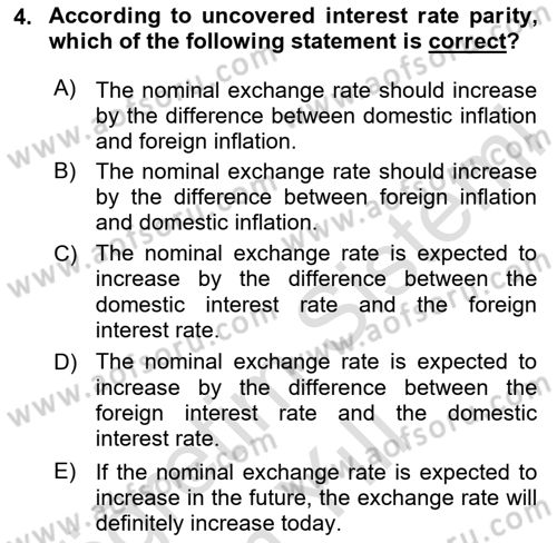 Monetary Theory and Policy Dersi 2023 - 2024 Yılı Yaz Okulu Sınav Soruları 4. Soru