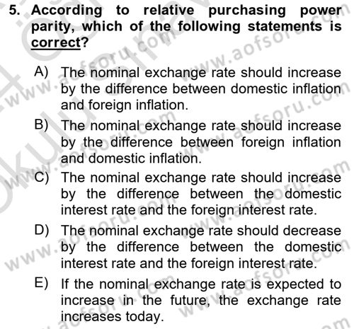 Monetary Theory and Policy Dersi 2023 - 2024 Yılı Yaz Okulu Sınav Soruları 5. Soru