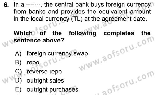 Monetary Theory and Policy Dersi 2023 - 2024 Yılı Yaz Okulu Sınav Soruları 6. Soru