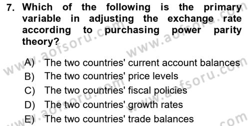 Monetary Theory and Policy Dersi 2023 - 2024 Yılı Yaz Okulu Sınav Soruları 7. Soru