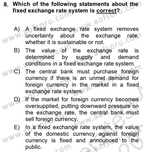 Monetary Theory and Policy Dersi 2023 - 2024 Yılı Yaz Okulu Sınav Soruları 8. Soru