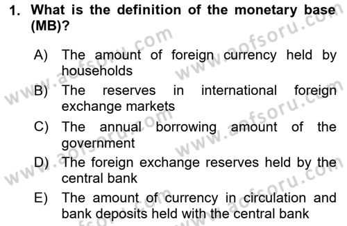 Monetary Theory and Policy Dersi Ara Sınavı Deneme Sınav Soruları 1. Soru