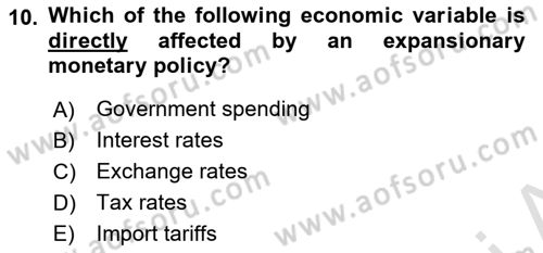 Monetary Theory and Policy Dersi Ara Sınavı Deneme Sınav Soruları 10. Soru