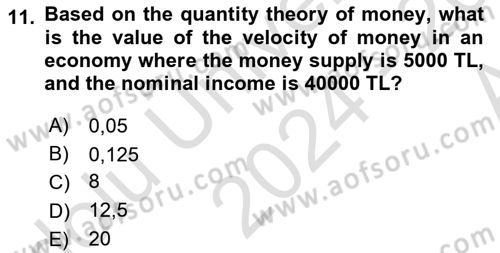 Monetary Theory and Policy Dersi Ara Sınavı Deneme Sınav Soruları 11. Soru