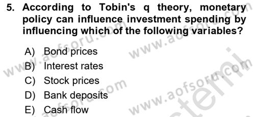Monetary Theory and Policy Dersi Ara Sınavı Deneme Sınav Soruları 5. Soru