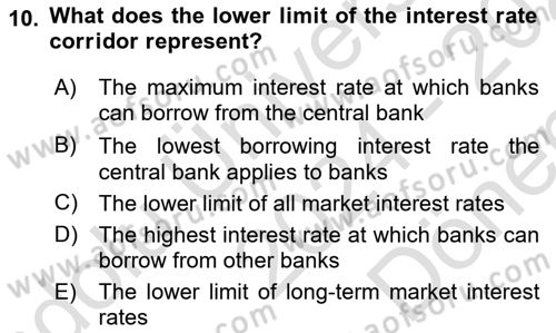 Monetary Theory and Policy Dersi 2024 - 2025 Yılı (Final) Dönem Sonu Sınav Soruları 10. Soru
