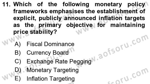 Monetary Theory and Policy Dersi 2024 - 2025 Yılı (Final) Dönem Sonu Sınav Soruları 11. Soru