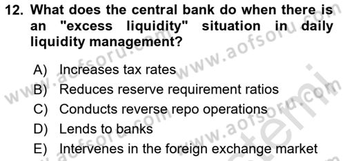 Monetary Theory and Policy Dersi 2024 - 2025 Yılı (Final) Dönem Sonu Sınav Soruları 12. Soru