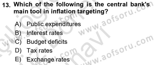 Monetary Theory and Policy Dersi 2024 - 2025 Yılı (Final) Dönem Sonu Sınav Soruları 13. Soru