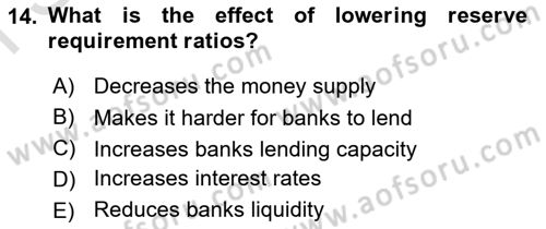 Monetary Theory and Policy Dersi 2024 - 2025 Yılı (Final) Dönem Sonu Sınav Soruları 14. Soru