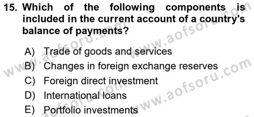 Monetary Theory and Policy Dersi 2024 - 2025 Yılı (Final) Dönem Sonu Sınav Soruları 15. Soru