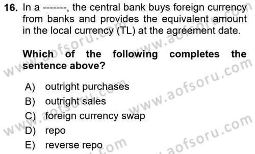 Monetary Theory and Policy Dersi 2024 - 2025 Yılı (Final) Dönem Sonu Sınav Soruları 16. Soru
