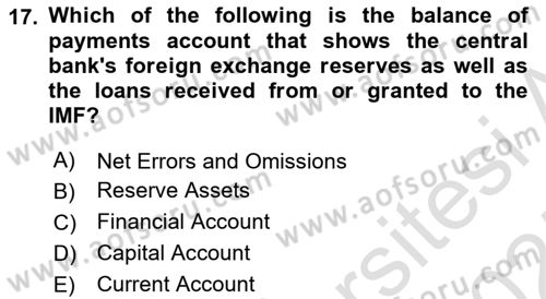 Monetary Theory and Policy Dersi 2024 - 2025 Yılı (Final) Dönem Sonu Sınav Soruları 17. Soru