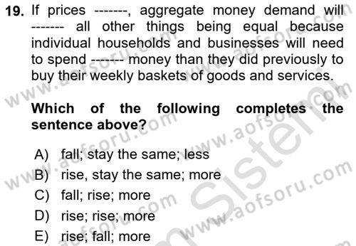 Monetary Theory and Policy Dersi 2024 - 2025 Yılı (Final) Dönem Sonu Sınav Soruları 19. Soru