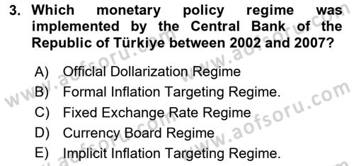 Monetary Theory and Policy Dersi 2024 - 2025 Yılı (Final) Dönem Sonu Sınav Soruları 3. Soru