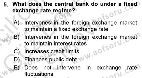 Monetary Theory and Policy Dersi 2024 - 2025 Yılı (Final) Dönem Sonu Sınav Soruları 5. Soru